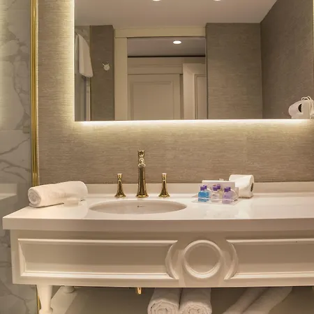 酒店 米娜酒店 - 特殊类别