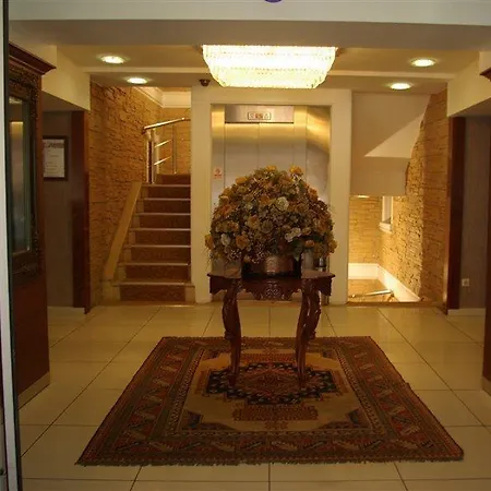 酒店 米娜酒店 - 特殊类别