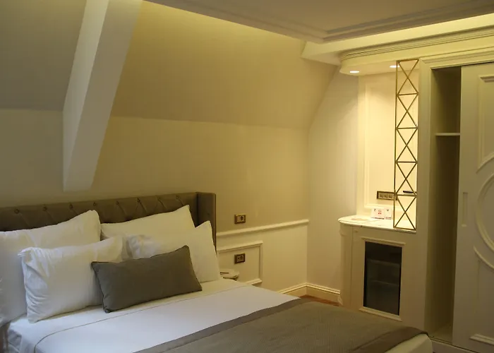 ホテル ミナ スペシャル カテゴリー イスタンブール