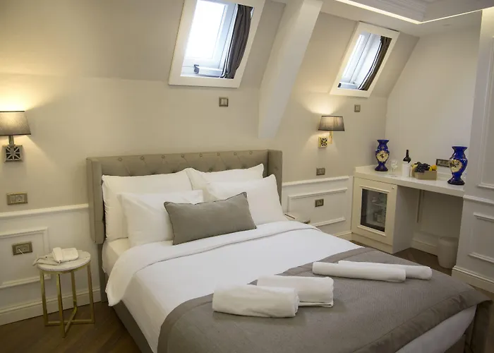 ミナ スペシャル カテゴリー ホテル イスタンブール