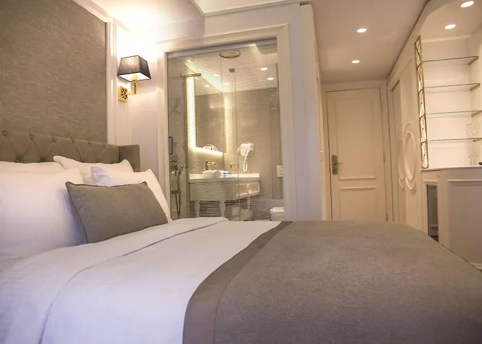 ミナ スペシャル カテゴリー ホテル イスタンブール