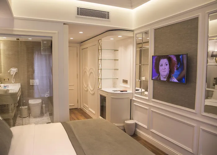 ミナ スペシャル カテゴリー 4* イスタンブール