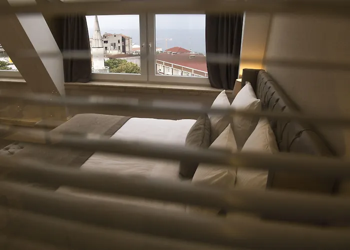 ホテル ミナ スペシャル カテゴリー イスタンブール