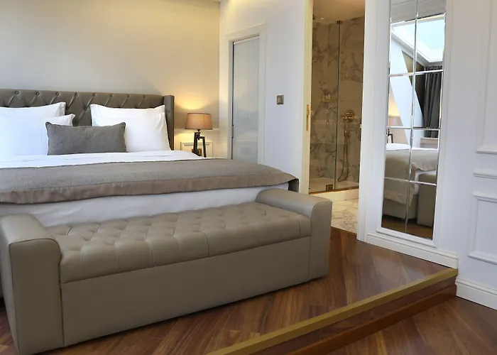 Mina - Special Category