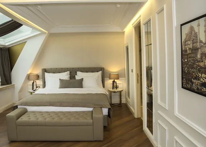 ミナ スペシャル カテゴリー 4* イスタンブール