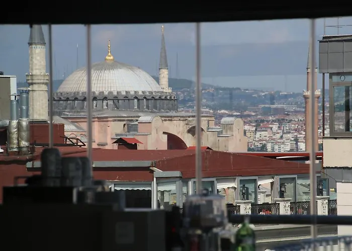 ミナ スペシャル カテゴリー