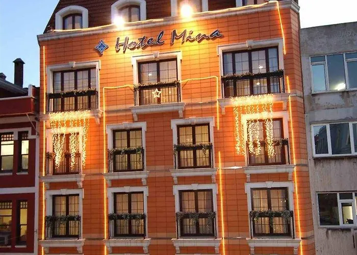 ミナ スペシャル カテゴリー イスタンブール